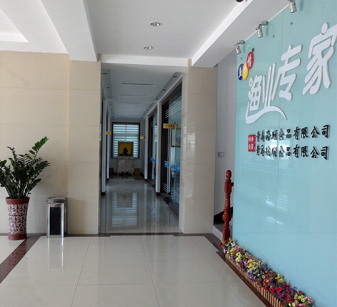 公司走廊 公司走廊